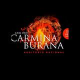 Carmina Burana en Madrid Miercoles 11 Febrero 2026