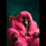 Concierto de Mr. Zoom en Madrid Sabado 3 Enero 2026