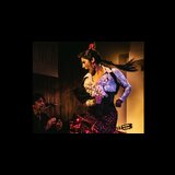 Espectáculo de flamenco local Del Jueves 6 Noviembre al Sabado 31 Enero 2026