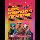 NOCHE DE REYES. ORO, INCIENSO Y... LOS PERROSTRATOS Lunes 5 Enero 2026