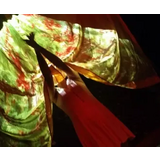 Jardín Secreto - zig zag Danza Domingo 7 y Lunes 8 Diciembre 2025