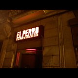 El Perro de la Parte de Atrás del Coche