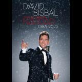 Concierto David Bisbal - Madrid - 22 de diciembre de 2025 en Madrid Monday 22 December 2025