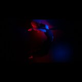 Atelofobia From Friday 7 November to Saturday 29 November 2025