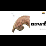 El Elefante From Thursday 6 November to Thursday 25 December 2025